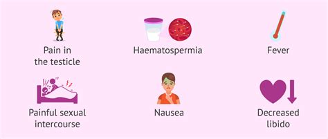 Symptoms of testicular inflammation or orchitis