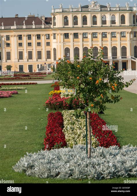 vienna the capital city of austria Stock Photo - Alamy