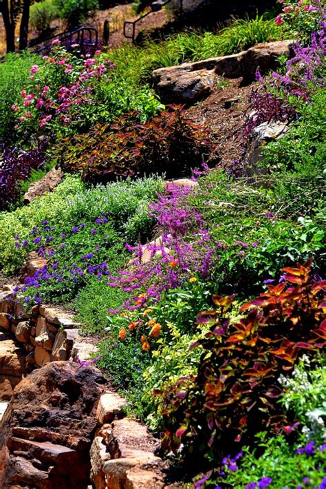 Xeriscaping: Gardening for Water Conservation