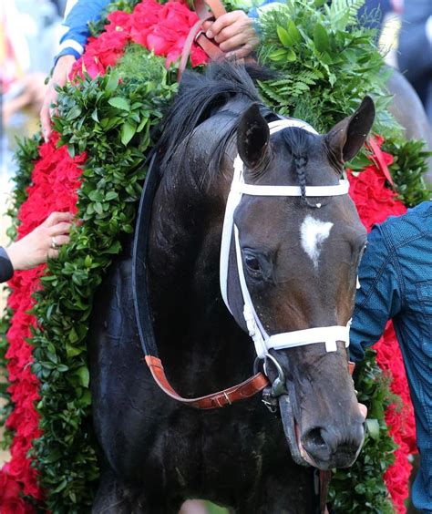 Always Dreaming is your 143rd Kentucky Derby champion. He held off a ...