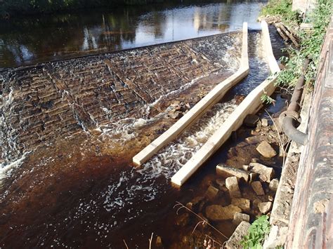 The River Don - Don Catchment Rivers Trust