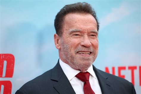 Where is Mildred Baena now? Arnold Schwarzenegger recalls confession ...