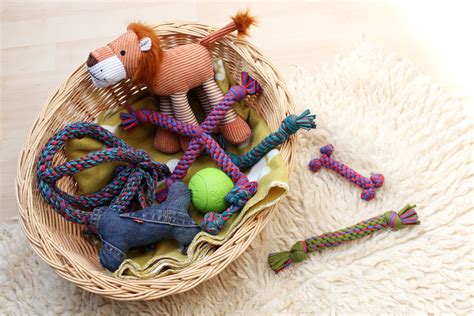 NEW! Doggie DIYs – Let’s start with making your own dog toys! – This Blog Is Not For You