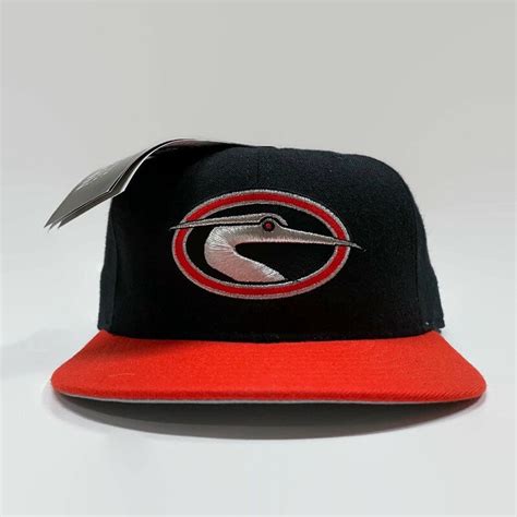 Delmarva Shorebirds Milb Class A South Atlantic League New Era Fitted ...