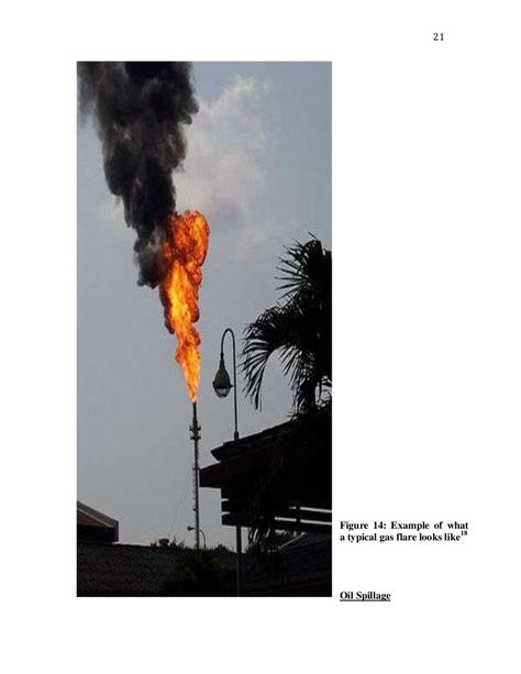 Environmental impacts : Oil Exploration and Extraction in Nigeria