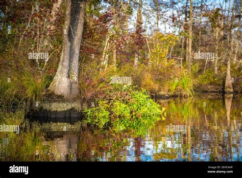 Eastern Shore Maryland Stock Photo - Alamy