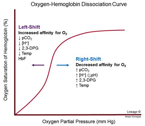 Oxygen-Hemoglobin Dissociation Curve - Respiratory - Medbullets Step 1