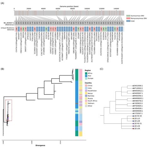 The genome sequence of the Lumpy Skin Disease virus from the outbreak in India suggests a ...