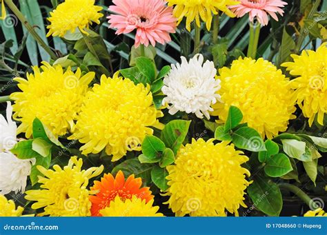 Funeral Flowers For Condolences Stock Photo - Image: 17048660