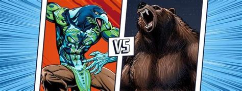 Seahawks vs. Bears | Bear, Chicago bears, Seahawks