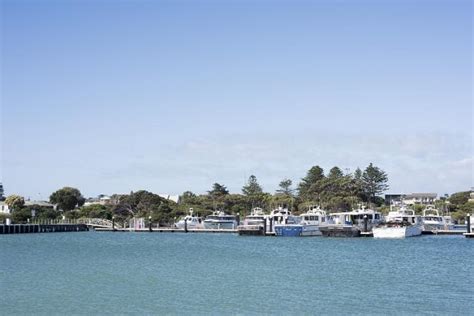 Photo of Motorboats moored in the harbour at Robe | Free australian ...