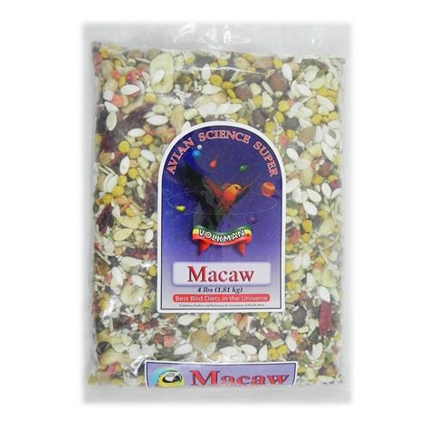 10 Best Macaw Bird Seed for Optimal Health and Nutrition - Hummingbirds ...