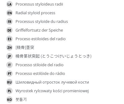 Radial styloid process - e-Anatomy - IMAIOS