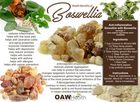 Health Benefits of Boswellia