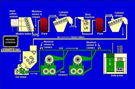 Industrial Revolution: Cotton Gin timeline | Timetoast timelines