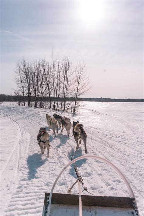 7 Things to Do in Quebec City in Winter - Wandering Sunsets | Quebec ...