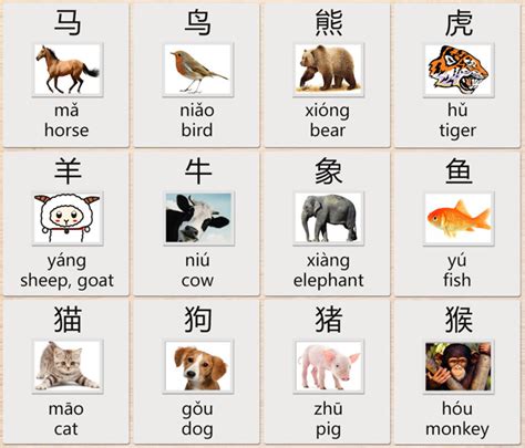 Chinese Characters for Animals