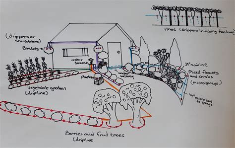 Planning and Designing a Micro Irrigation System - BRAELEAF