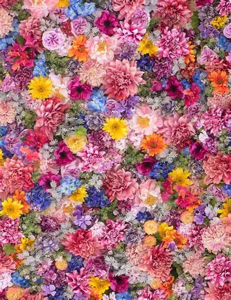 Flower Photography Backdrops For Sale Fabric Wash Material – Shopbackdrop