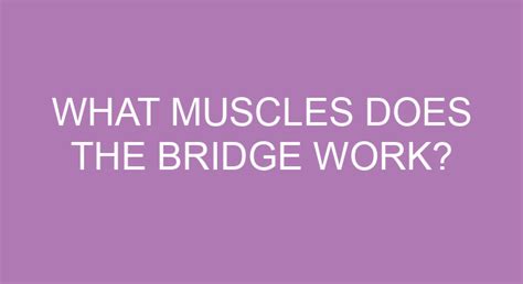 What Muscles Does The Bridge Work?