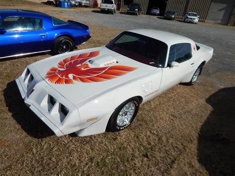 White with Red: 1979 Pontiac Trans Am | Barn Finds