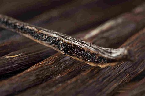 Real Vanilla Isn't Plain. It Depends On (Dare We Say It) Terroir : The Salt : NPR