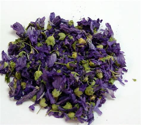 Fangourmetea Herbal Tea: Blue Malva Flower