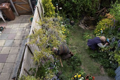 Gardening For Wildlife - The RSPB