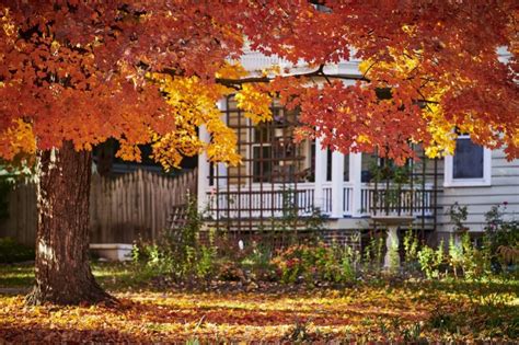 Preparing Your Yard for Fall