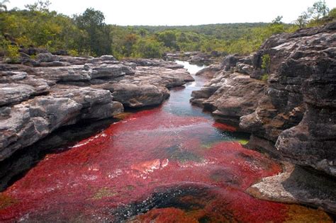 They Call This The Most Beautiful River In The World. When You See It ...