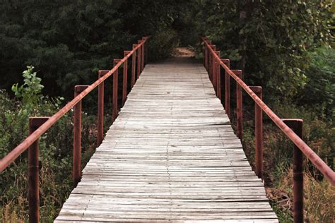 Old Wooden Bridge Free Stock Photo - Public Domain Pictures