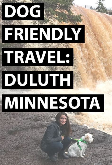 Dog Friendly Travel: Duluth, MN - Thyme Is Honey | Minnesota travel ...