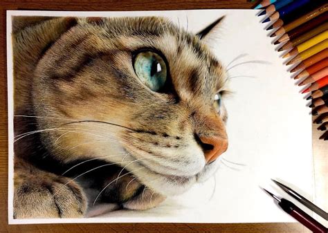 Feline Faces Get a Close-Up in Amazing Hyperrealistic Drawings