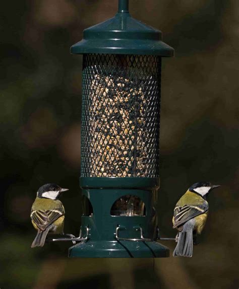 Squirrel Buster Bird Feeder from Living with Birds