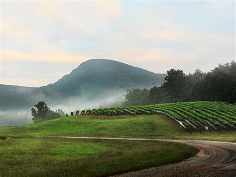 Yonah Mountain Vineyards & Winery | Official Georgia Tourism & Travel Website | Explore Georgia.org