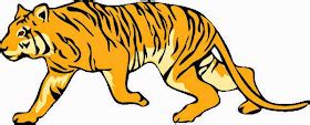 La Chachipedia: Dibujos de tigres para colorear y para imprimir. Gifs ...
