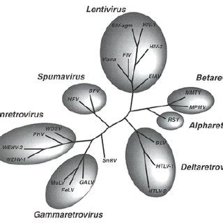 Retrovirus Structure [3] | Download Scientific Diagram