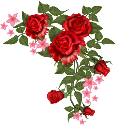 Rose Vector Png | Free download on ClipArtMag