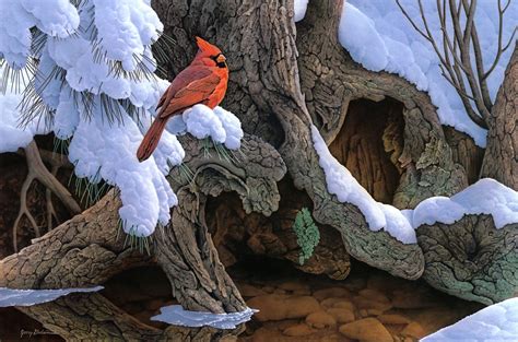 Winter Cardinal Desktop Wallpapers - Top Free Winter Cardinal Desktop ...