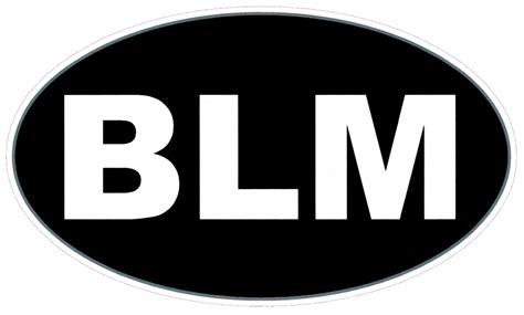 BLM (Black Lives Matter) - Small Bumper Sticker / Decal - Peace Resource Project