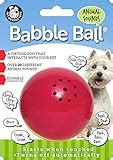 5 Best Toys For Blind Dog – Considerations, Reviews & FAQs