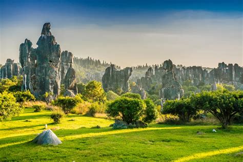 Stone Forest | Smithsonian Photo Contest | Smithsonian Magazine