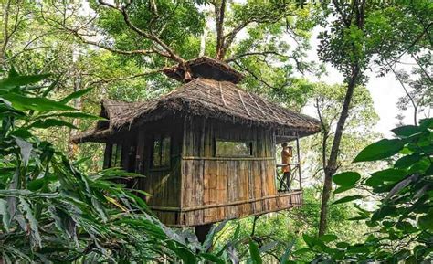 10 Most Awesome Tree Houses in India