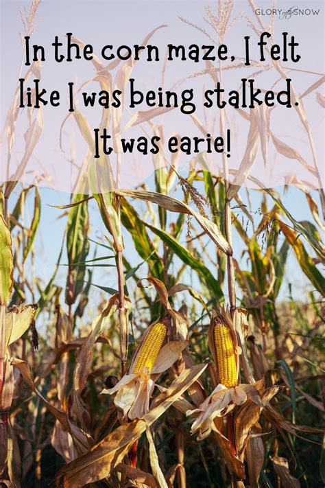 60+ Too-Corny-To-Digest Corn Puns And Jokes | Glory of the Snow