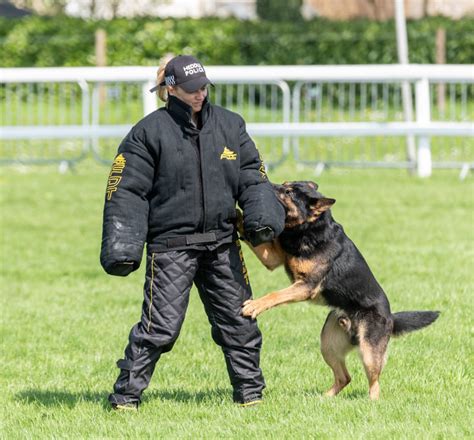 Police Dog Training Suit | Dog Handler Clothes - £1,449.99