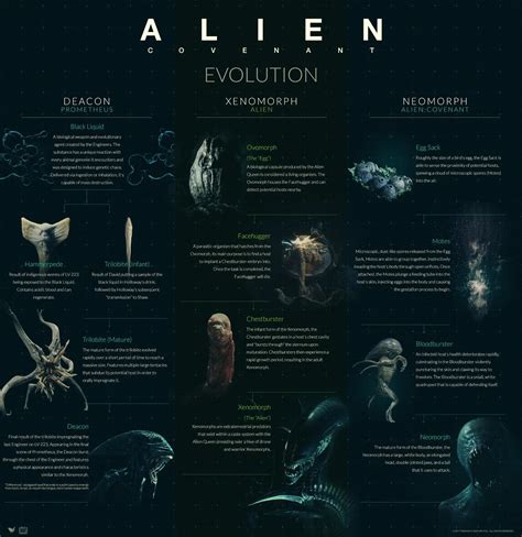 Alien Evolution - Alien: Covenant Forum