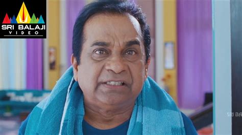 Telugu Comedy Scenes | Brahmanandam Comedy Scenes | Volume 1 | Sri Balaji Video - YouTube