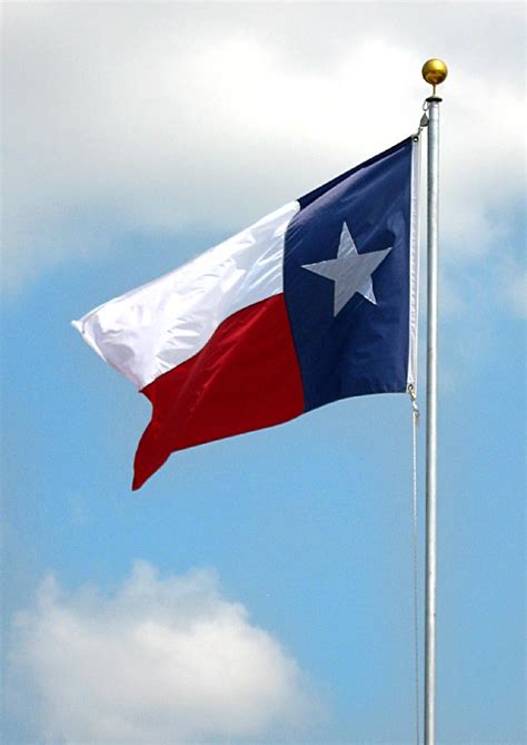 Texas State Flag