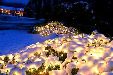 Christmas lights and snow | biosynthesis24 | Flickr