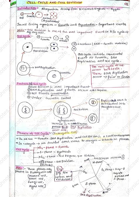 SOLUTION: Cell Cycle and Cell Division Class 11 Biology Handwritten ...